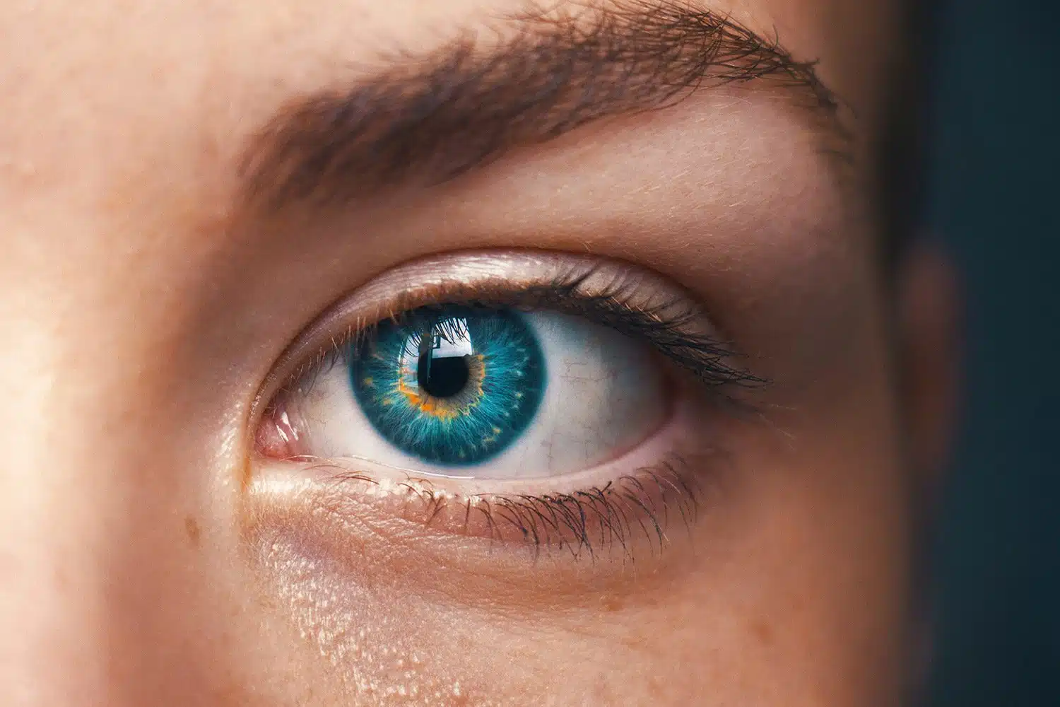 wiseeye Blog