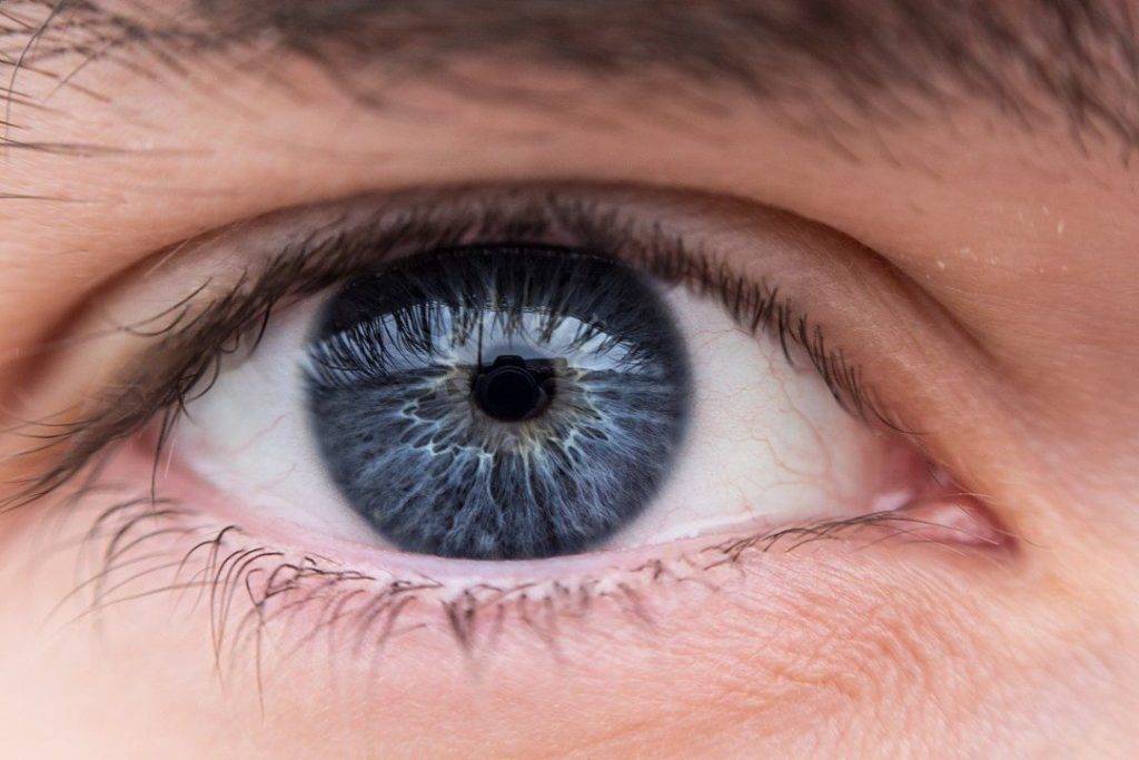 eye close up 1 Dealing with Sight Loss: Being Blind in Business