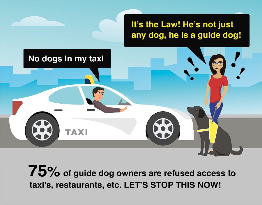 Graphic showing a woman with her guide dog by a taxi. Driver is saying " No dogs in my taxi".  Woman replies " It's the law! He's not just any dog, he's a guide dog!" Text below says... 75% of guide dog owners are refused access to taxis, restaurants etc. LET'S STOP THIS NOW!