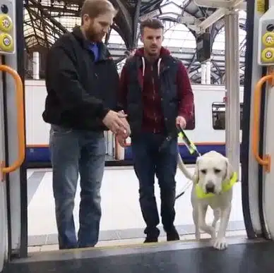 Fullscreen capture 22022018 184233.jpg Guiding A Person With A Visual Impairment Fullscreen capture 22022018 184233.jpg Guiding A Person With A Visual Impairment